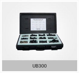 UB 300